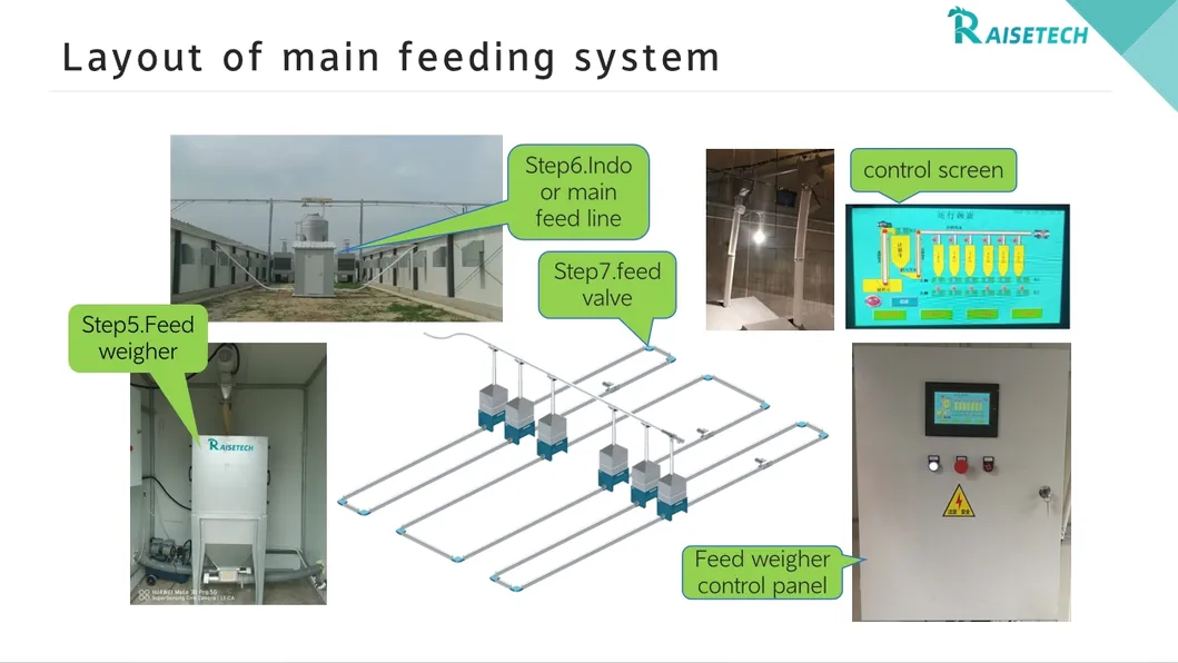 Feeding System 1