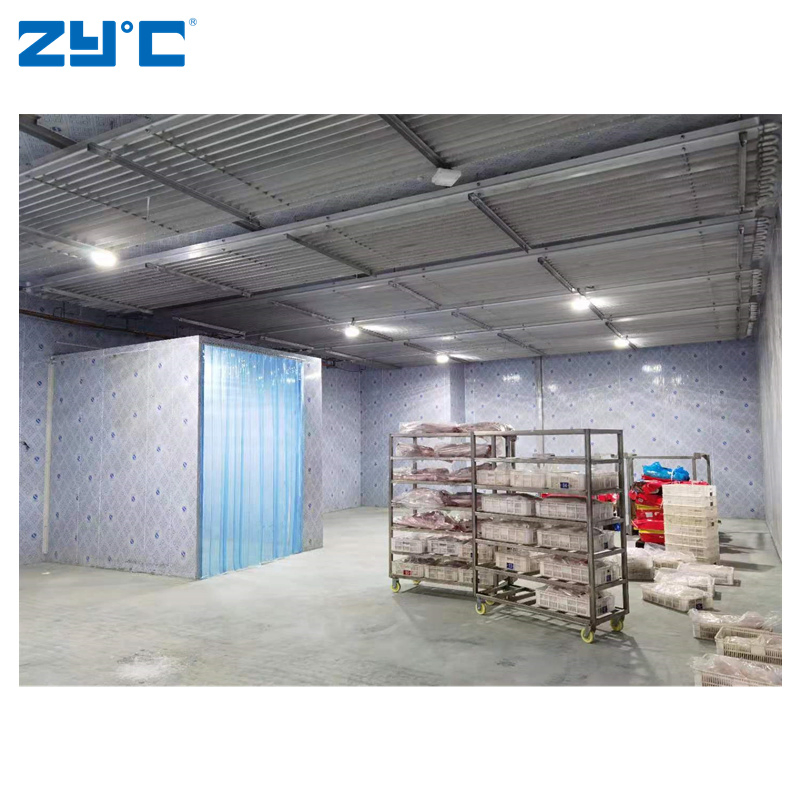 Wholesale Walk in Freezer 10FT 20FT Cold Storage Room Container for Meat Vegetable Medicine