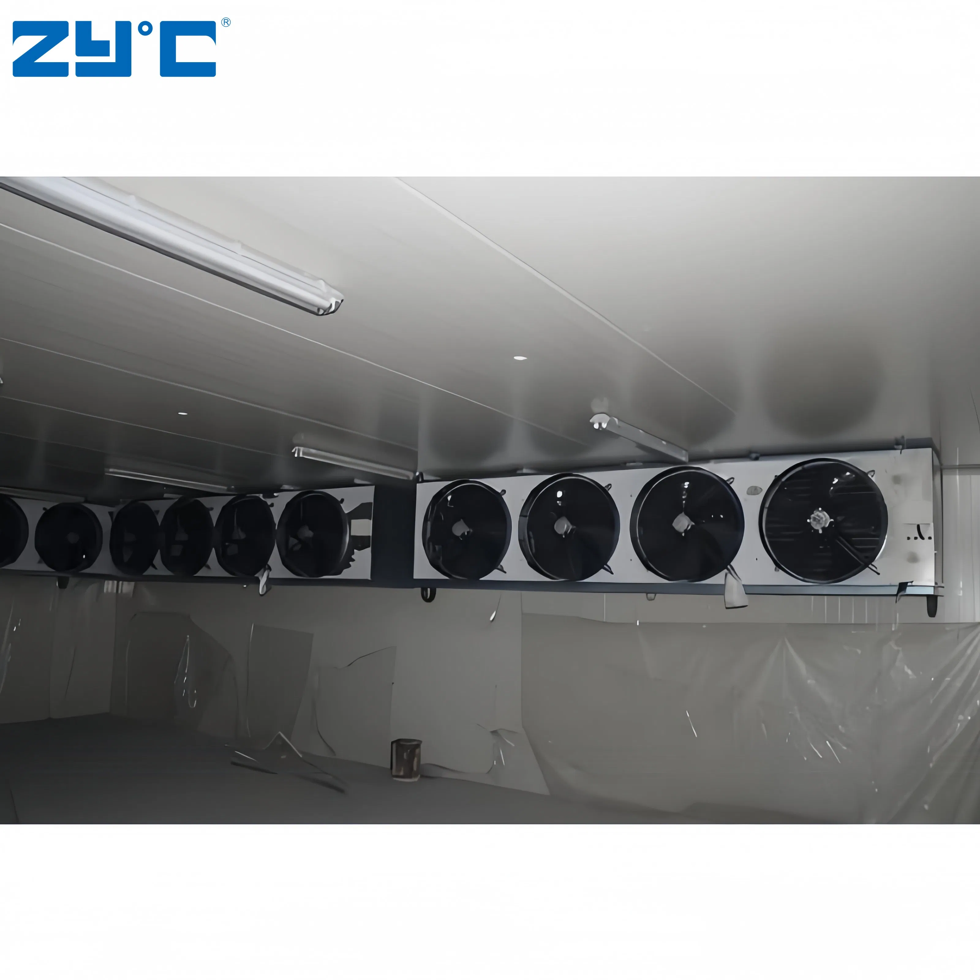 Good Price and Quality Spain Cold Room Cooling Unit Storage for Fruits and Vegetables