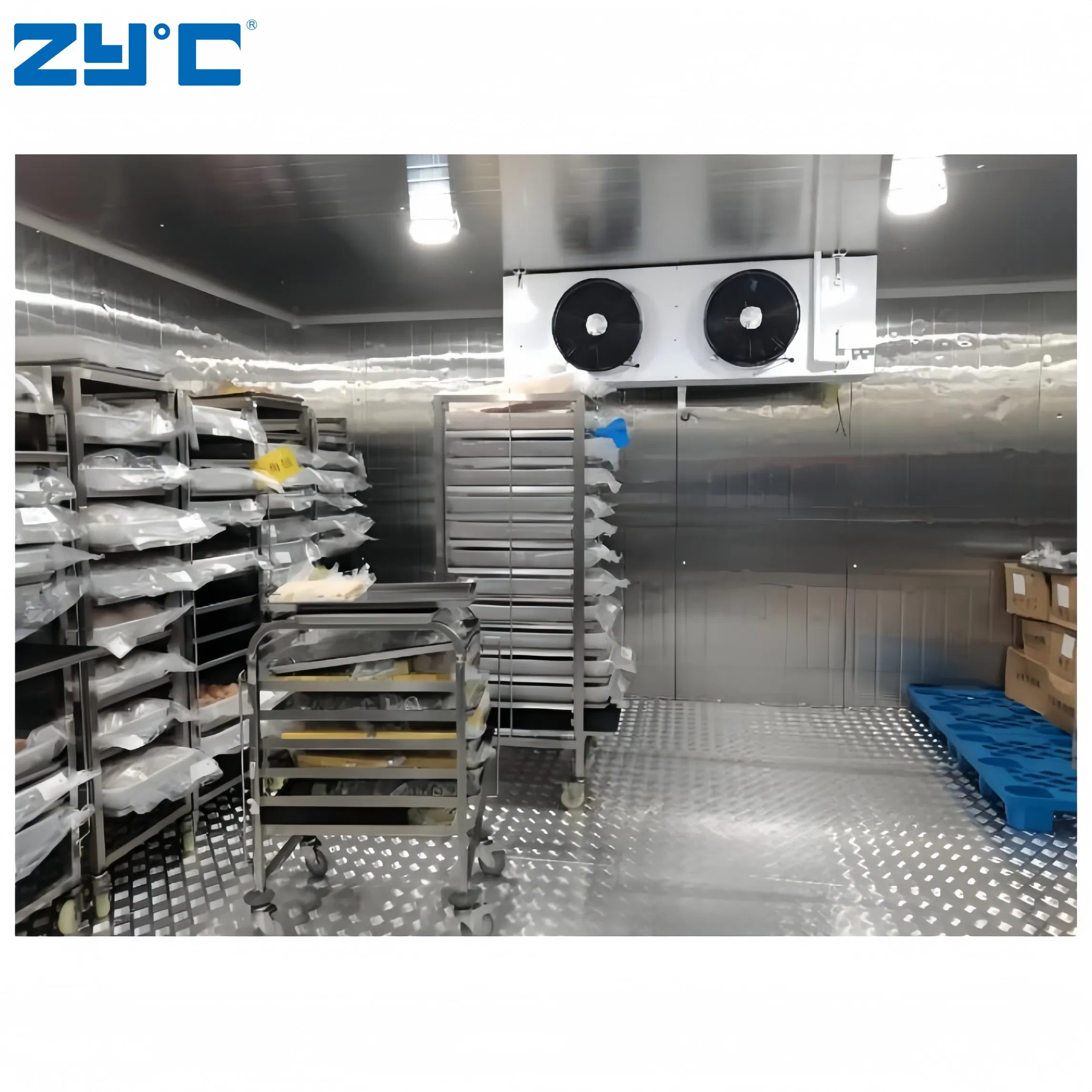 Wholesale Freezing Room 20FT Mobile Container Storage/Cold Room Freezer for Fish Vegetable Fruits Ice Cream Walk in Freezer