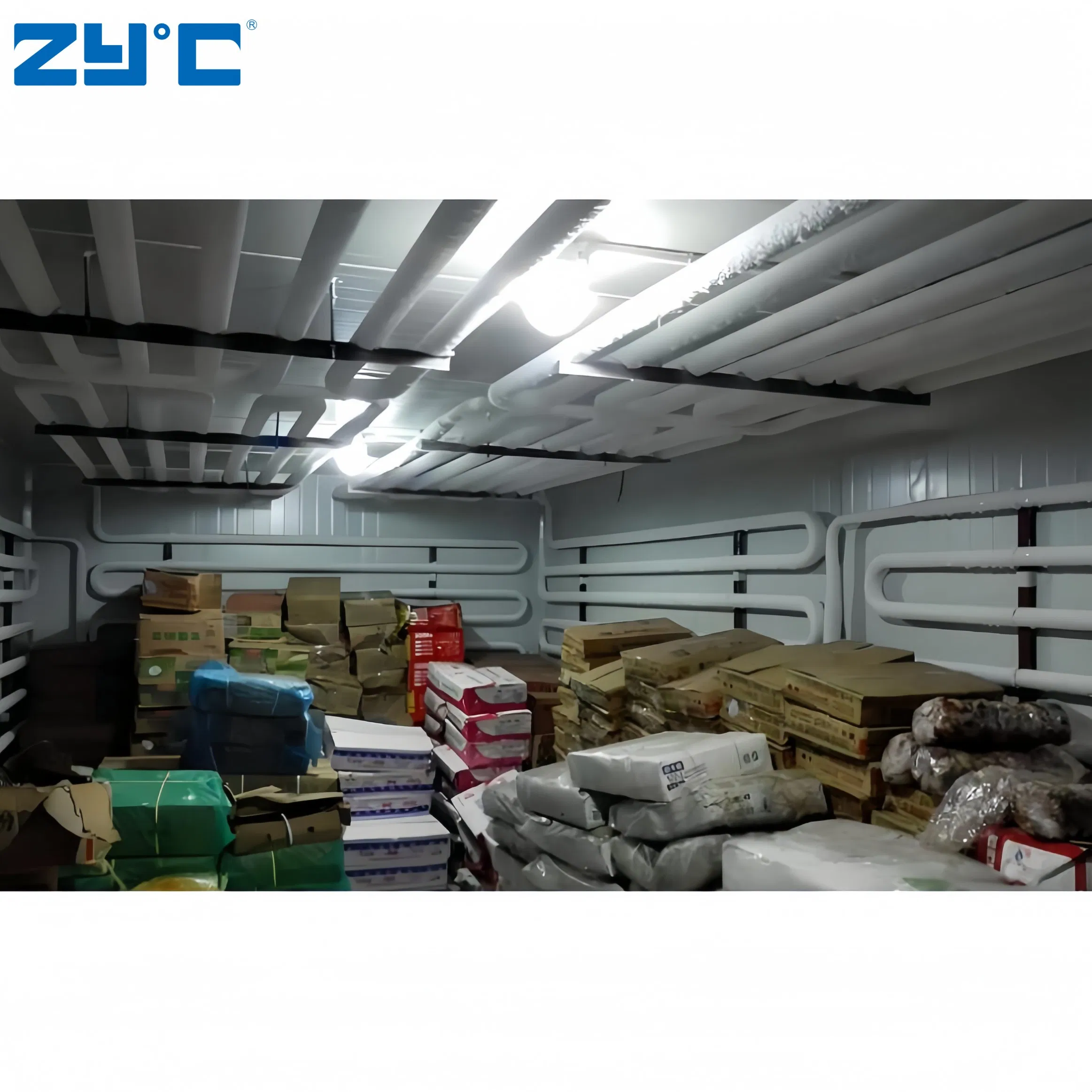 Walk in Freezer Powerful 380V Cold Storage Container for Fruits