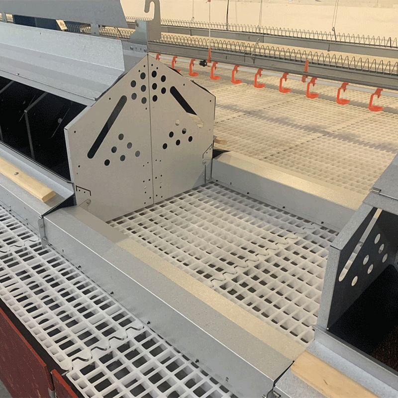 Convenient Maintenance Removable Trays Hygienic Expandable Chicken Coop Breeder Falt Raising System