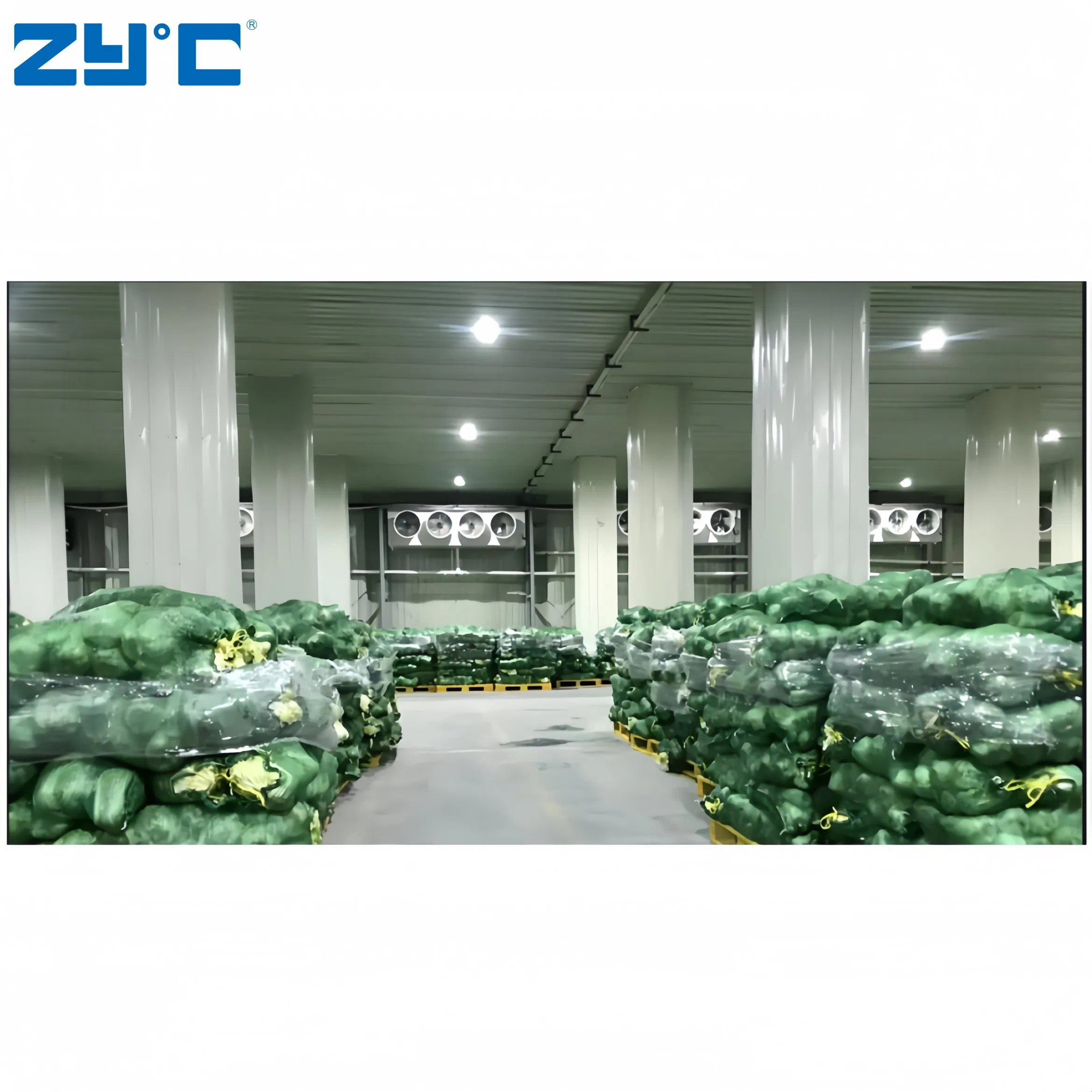 Walk in Freezer Powerful 380V Cold Storage Container for Fruits