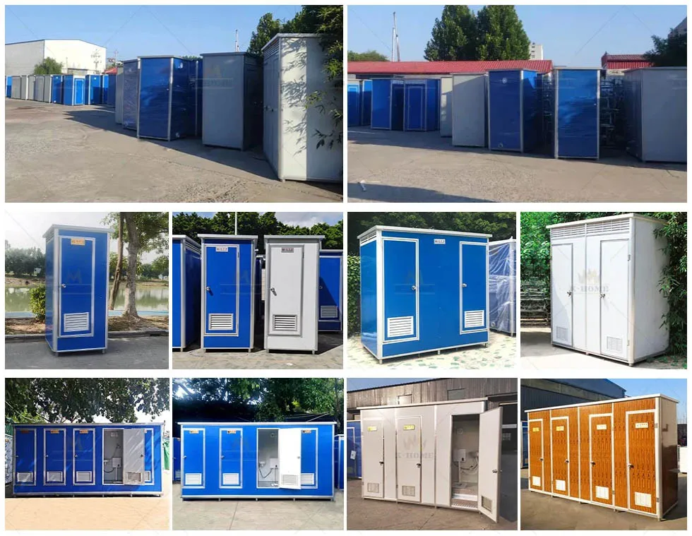 Toilet and Shower Combination