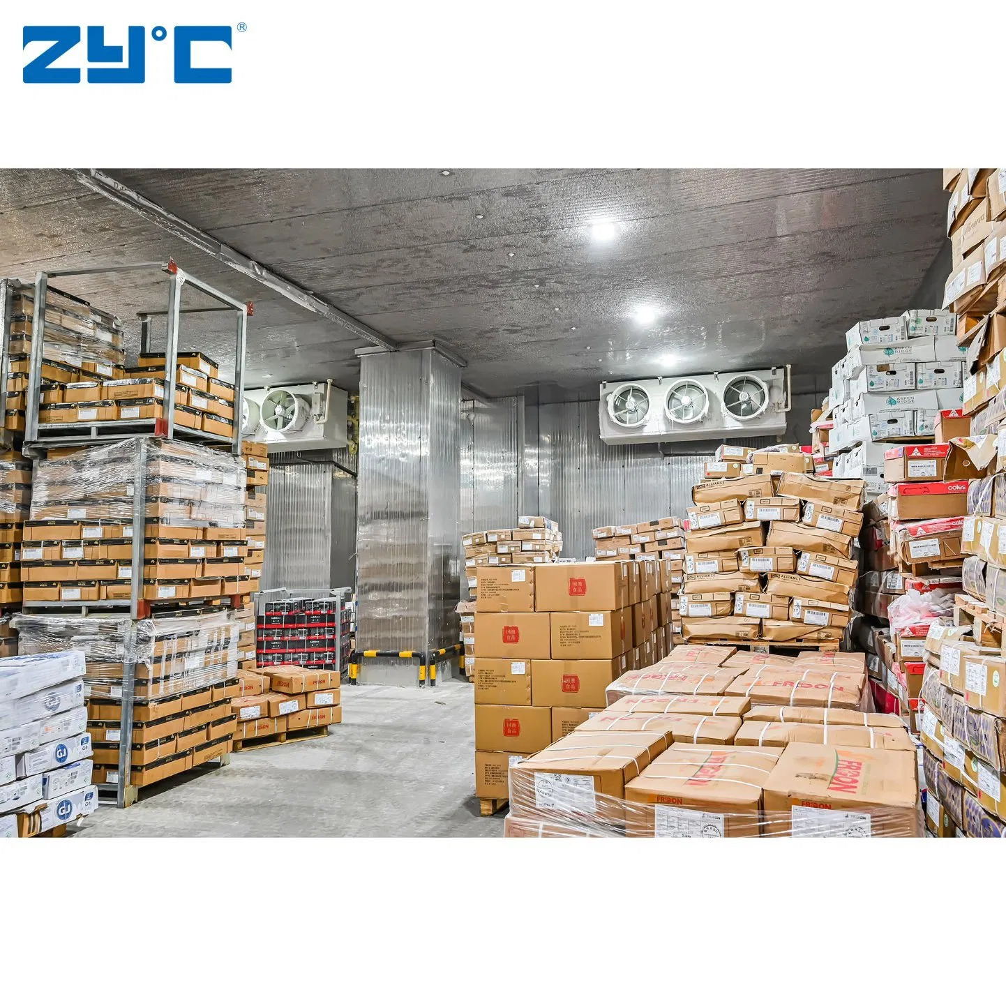 Wholesale Walk in Freezer 10FT 20FT Cold Storage Room Container for Meat Vegetable Medicine