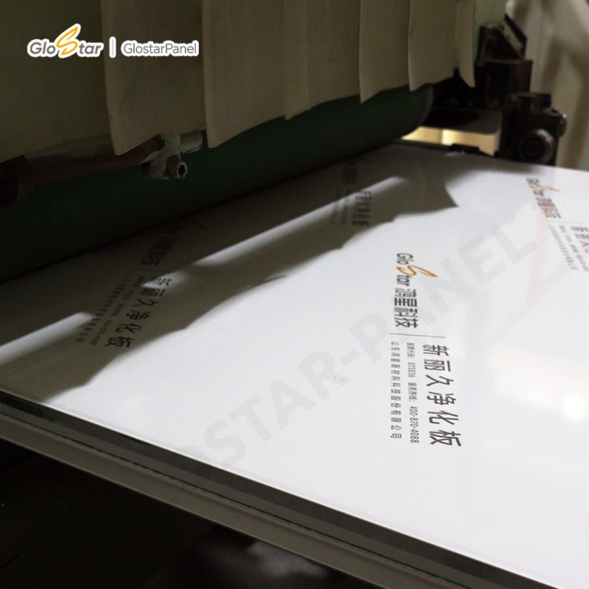 50mm/75mm/100mm/150mm Rockwool Cleanroom Sandwich Panel for Steel Structure Workshop