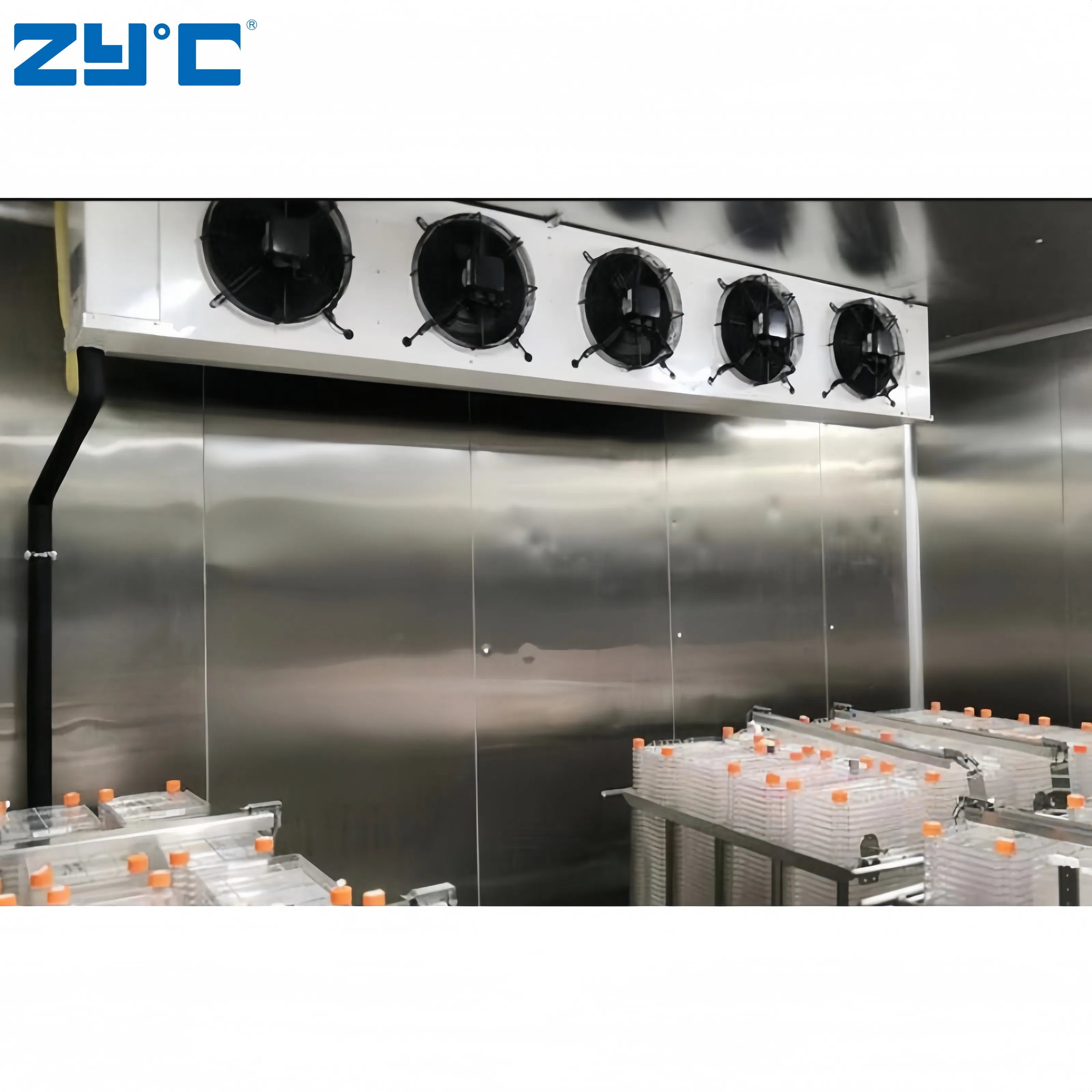 Portable Walk-in Freezer Cold Room Storage Container for Medicine