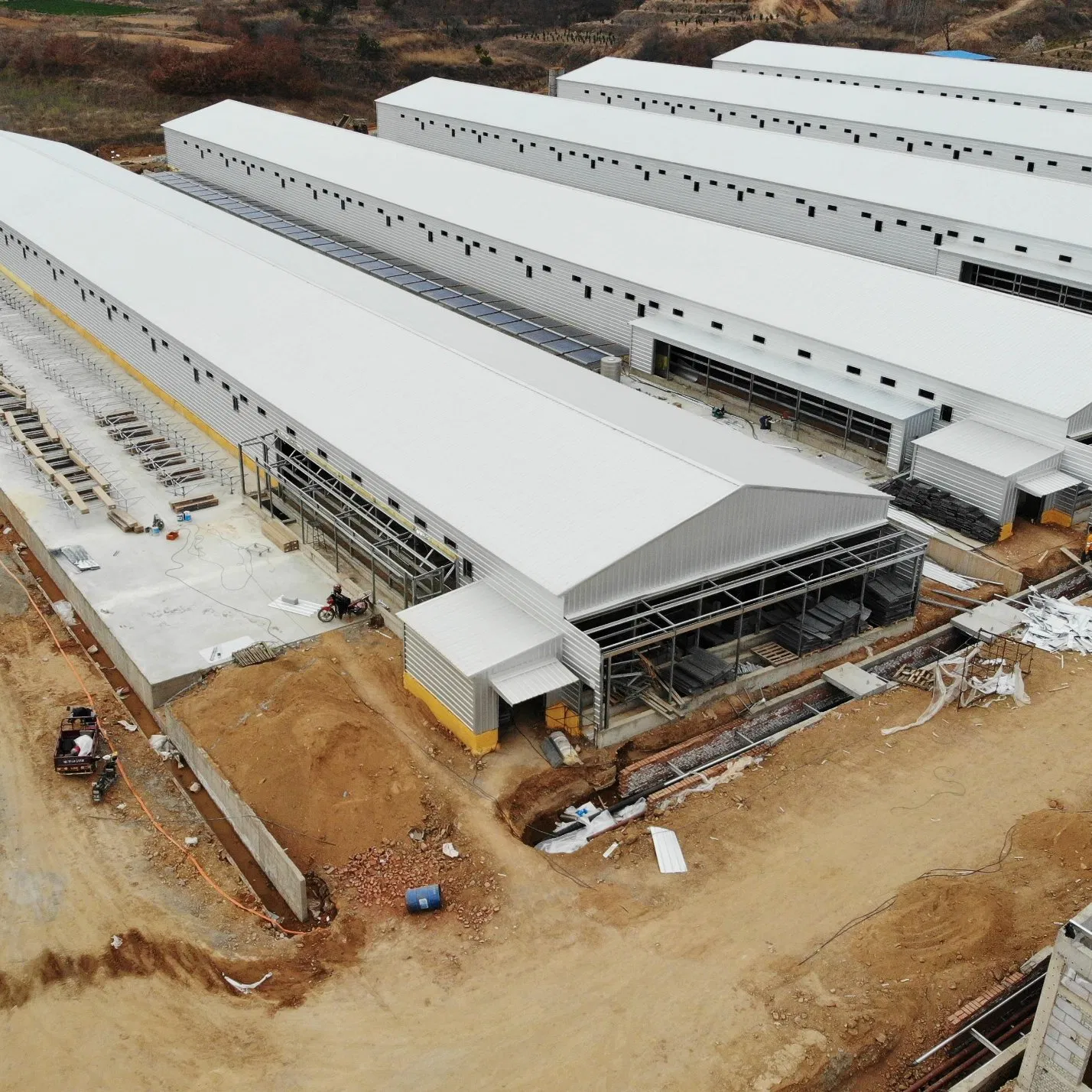 Steel Poultry Building for Saudi Arabia Farms Featuring Quick Assembly and Effective Thermal Insulation