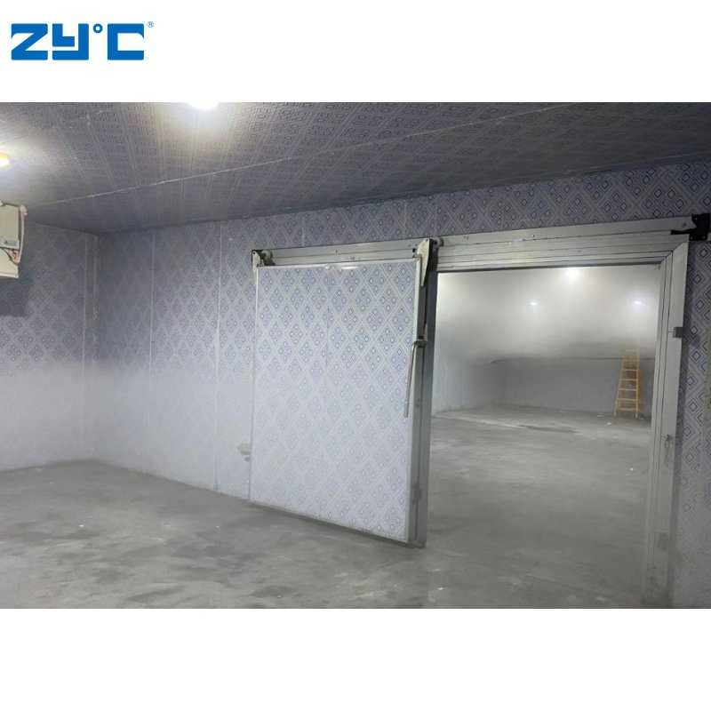 Walk in Cold Room Storage Refrigeration 10 to 100 Ton Blast Freezer Price for Meat Fish Chicken Onion Vegetable Fruit
