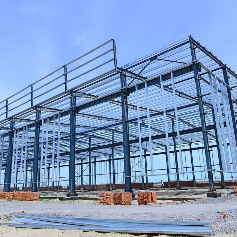 Insulated Sandwich Panel Steel Structure Building for Pharmaceutical Clean Room