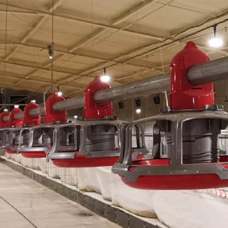 Convenient Maintenance Removable Trays Hygienic Expandable Chicken Coop Breeder Falt Raising System