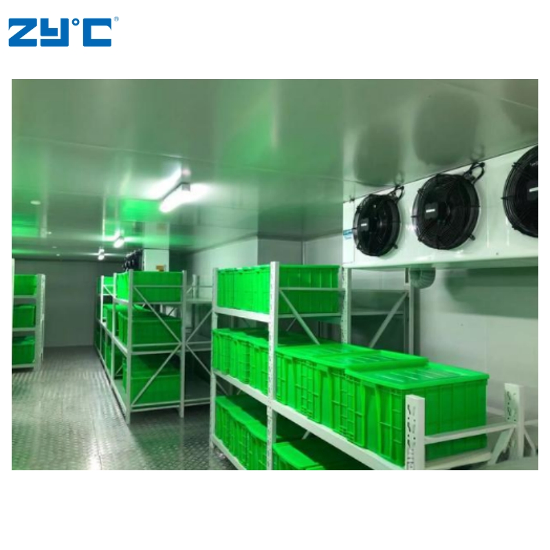 Walk in Cold Room Storage Refrigeration 10 to 100 Ton Blast Freezer Price for Meat Fish Chicken Onion Vegetable Fruit
