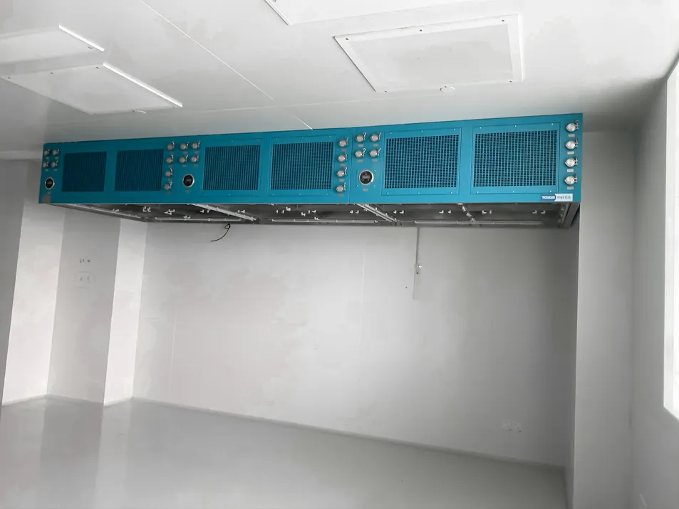 Class A Laminar Flow Hood
