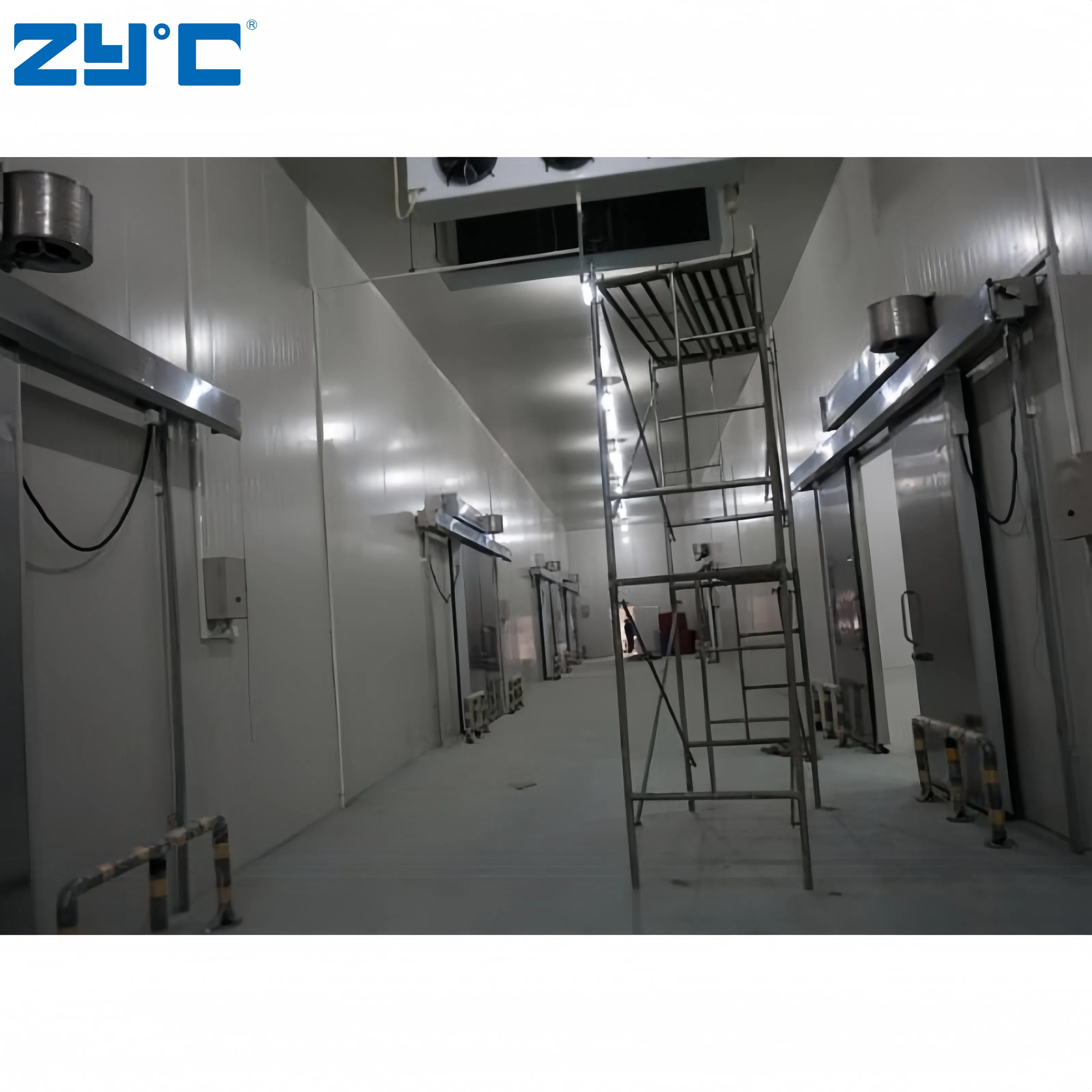 40 Feet Container Cold Storage 5 HP Condensing Unit Refrigerated Freezer Cold Storage Room