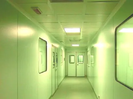 Non-walkable Ceiling