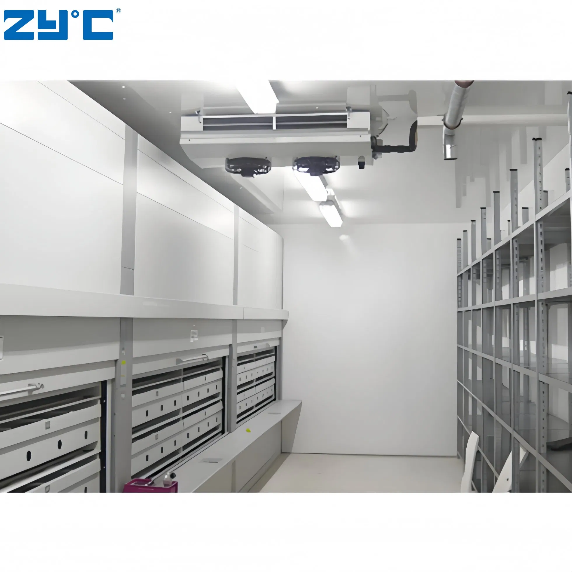 New Design Movable Cold Room Freezer with Hinged Door Container Walk in Freezer