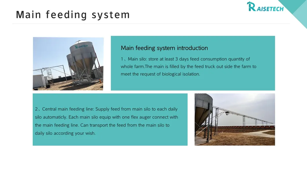 Feeding System 2