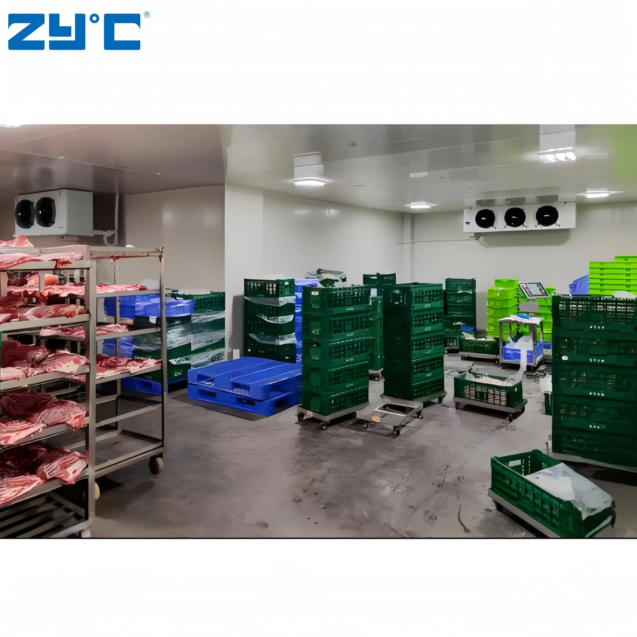 High Quality Refrigerated Room Cooling Room Freezer Refrigerated Room Fruit and Vegetable Meat Container Freezer