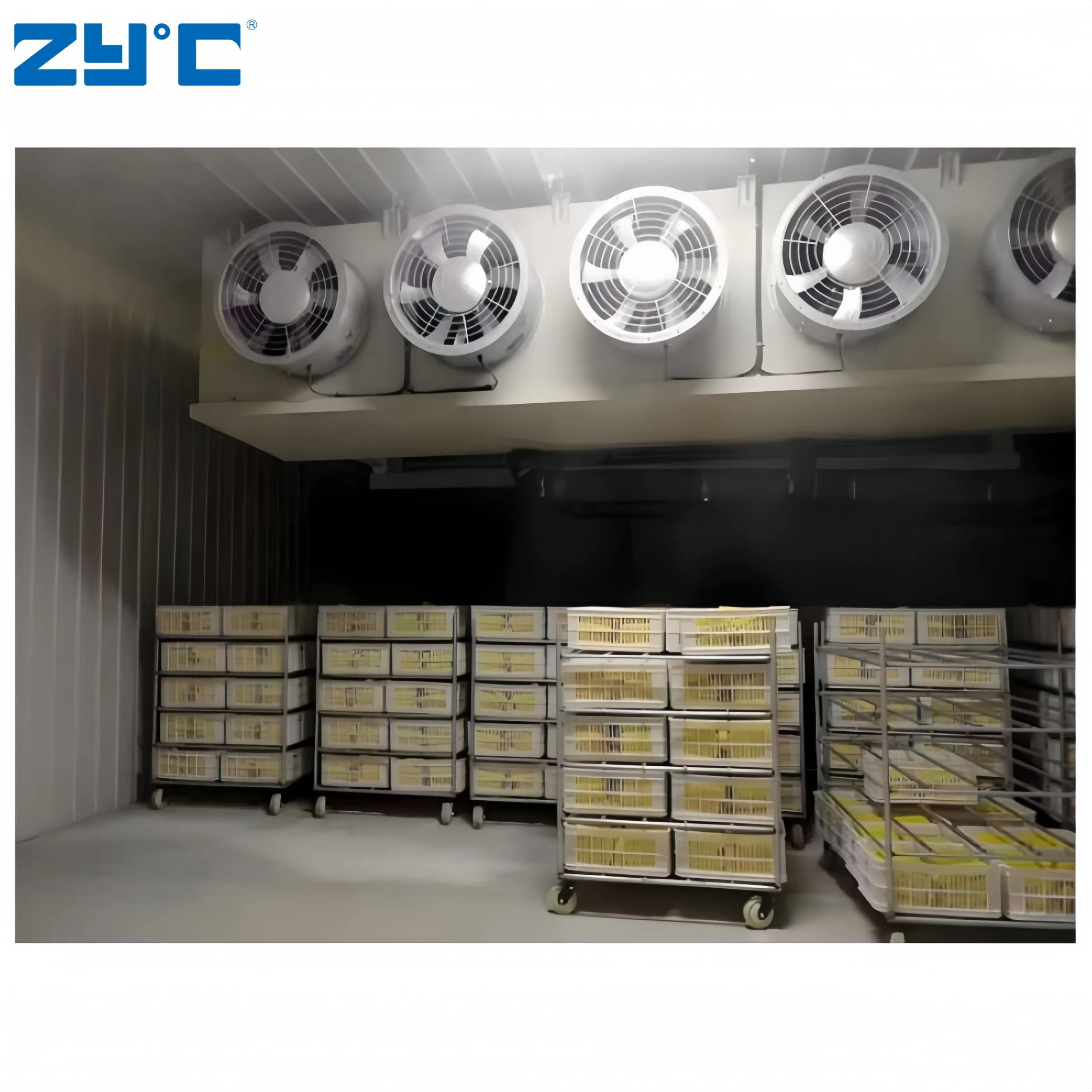Industrial Cool Rooms and Freezer Room Blast Freezer Container Walk in Freezer Refrigeration Unit Cold Storage
