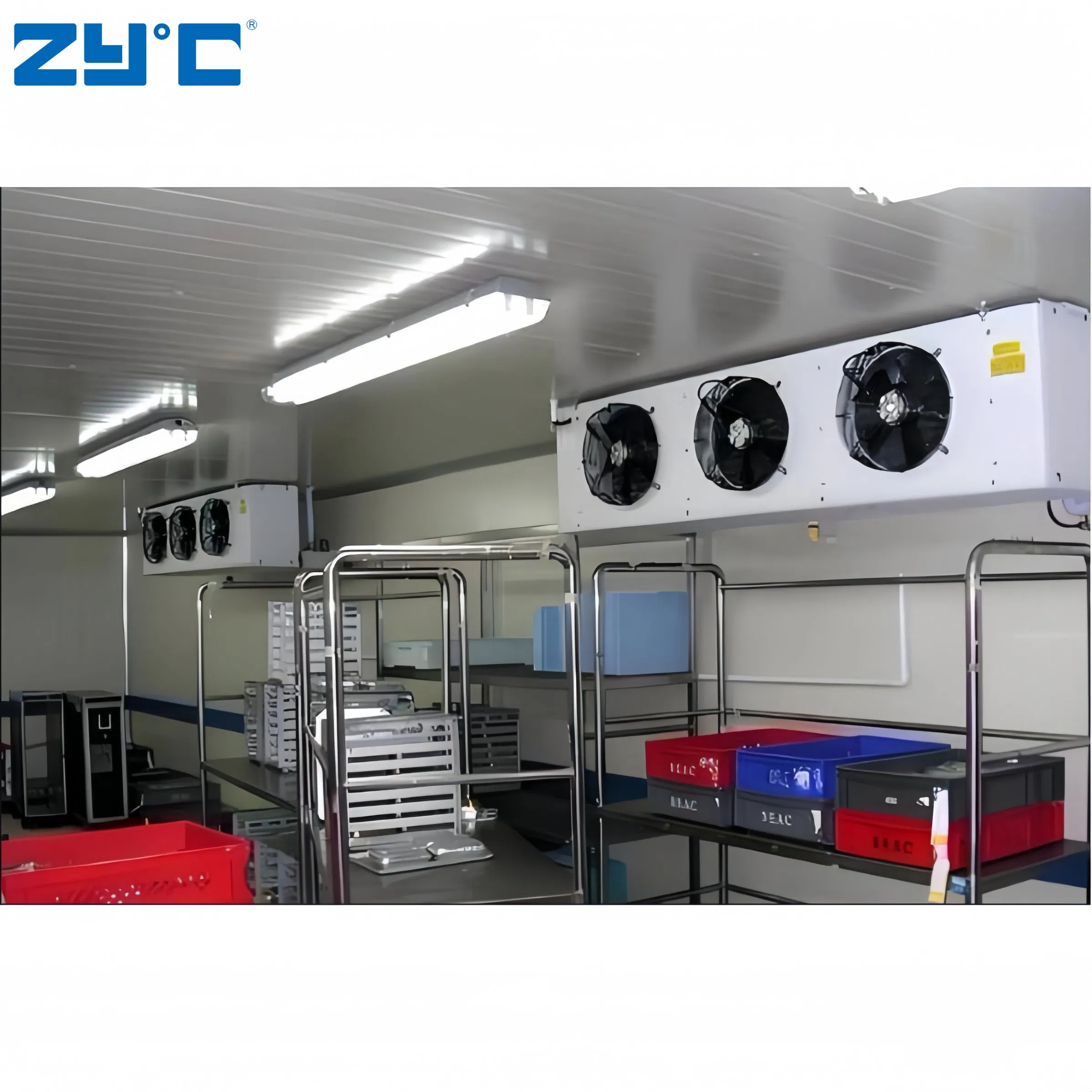 Frozen Meat Seafood Beef Chicken Vegetable Fruit Walk in Container Cool Freezing Freezer Cold Room