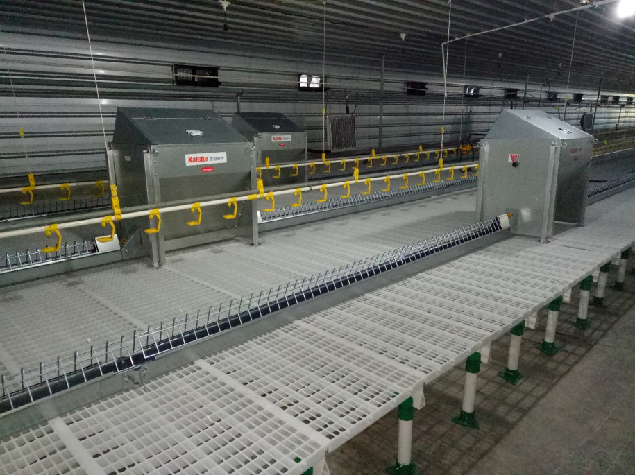 Female Chain Feeding System