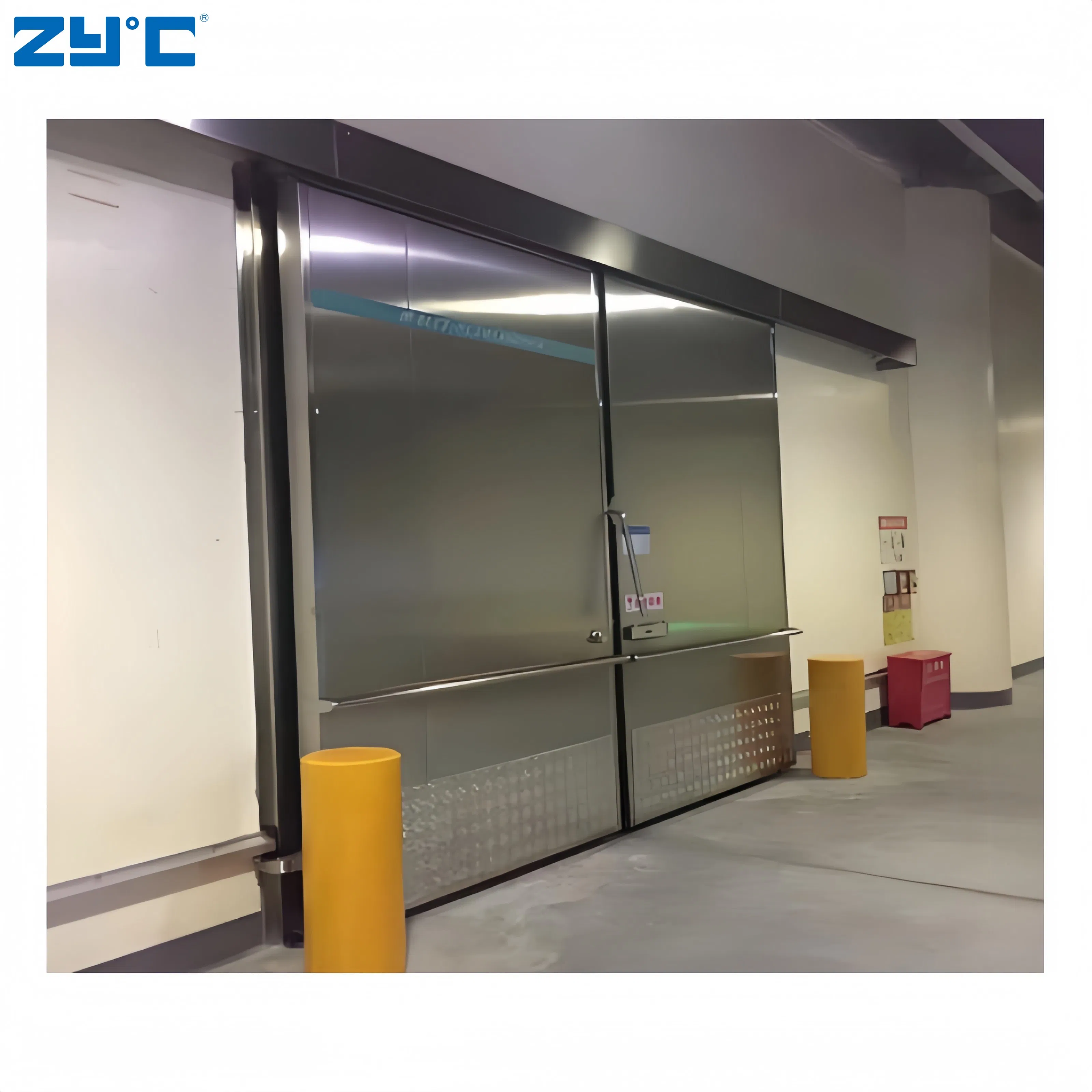 New Design Movable Cold Room Freezer with Hinged Door Container Walk in Freezer