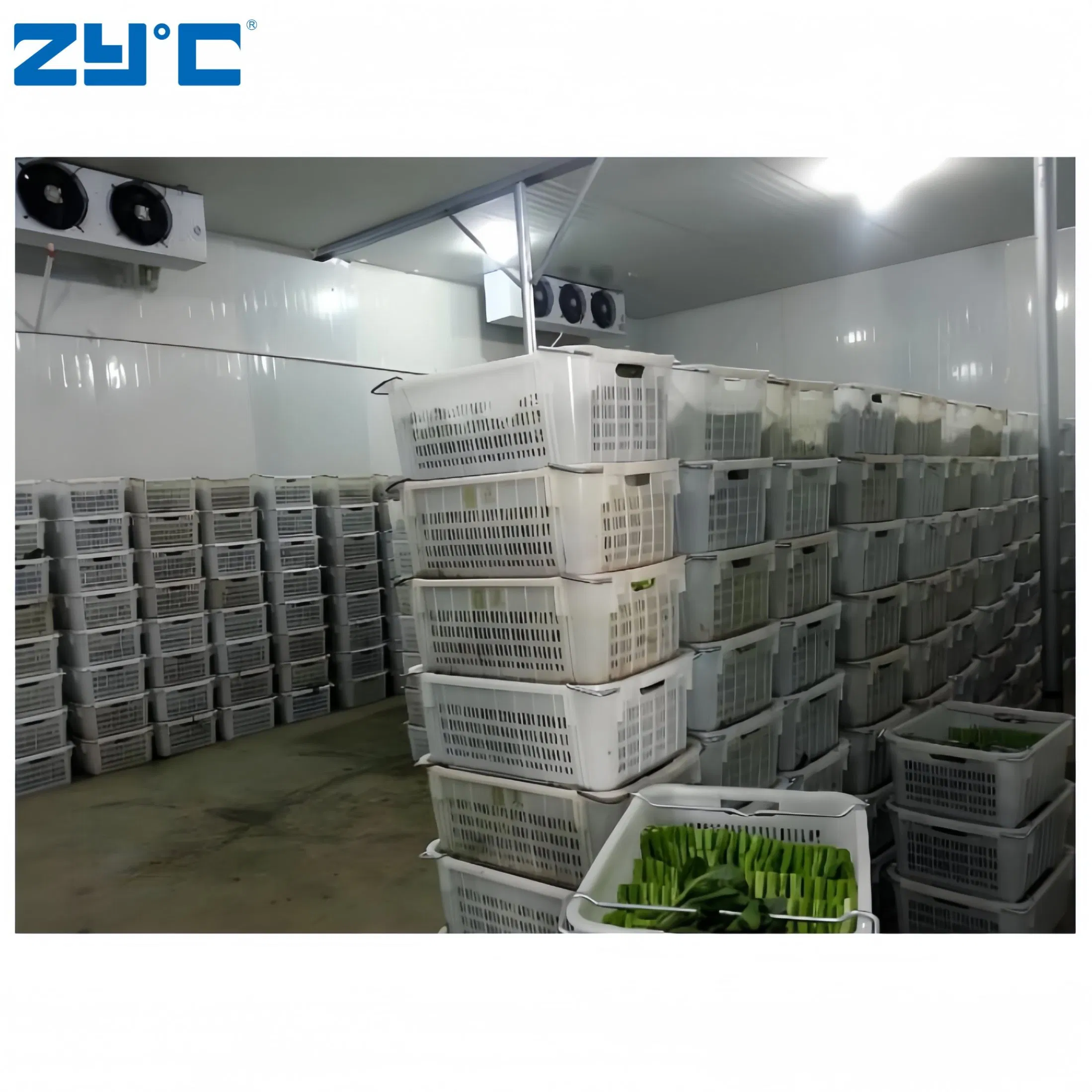 High Quality Refrigerated Room Cooling Room Freezer Refrigerated Room Fruit and Vegetable Meat Container Freezer