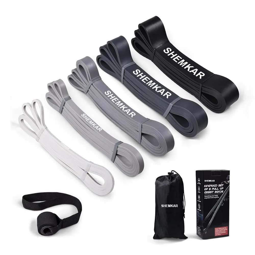 Heavy-Duty Durable Home Gym Training Exercise Resistance Bands with Door Anchor