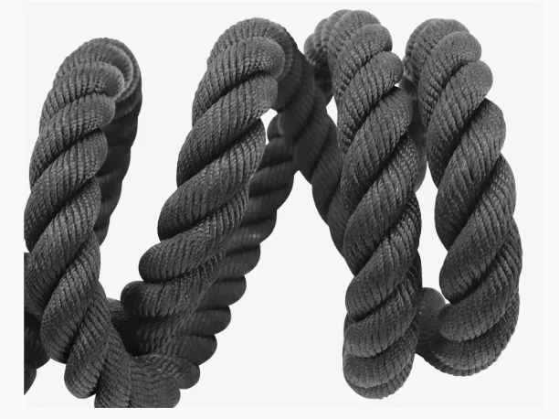 Battle Rope Detail 4