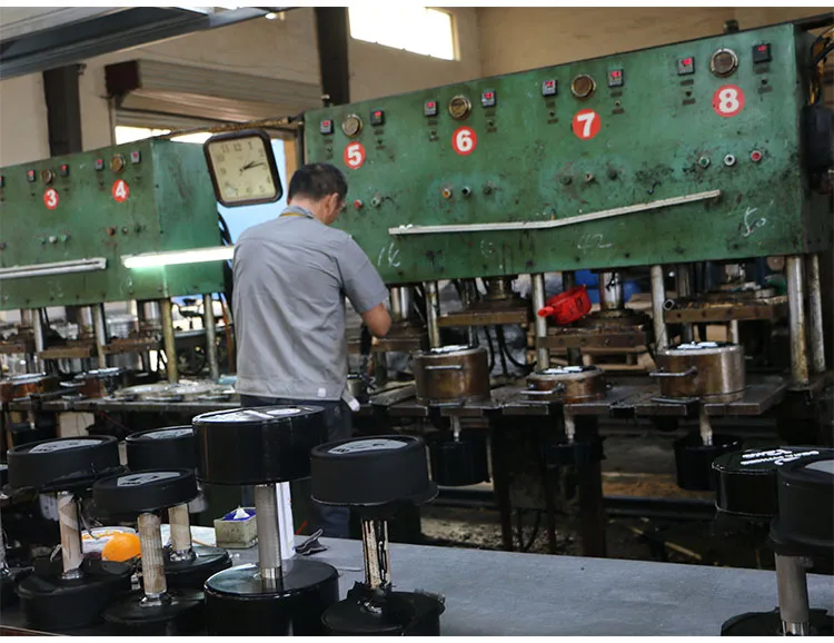 Adjustable Dumbbell 12