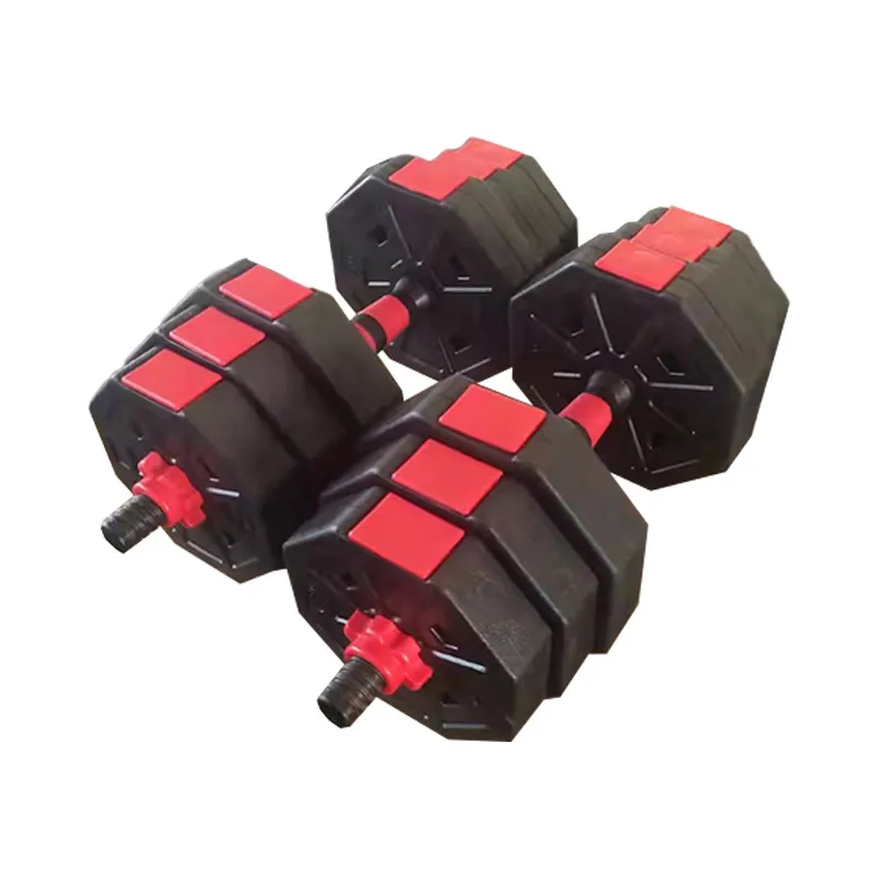 Octagonal Dumbbell 1