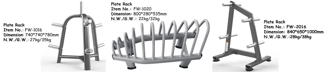 Bumper Plate Custom Gym Weights