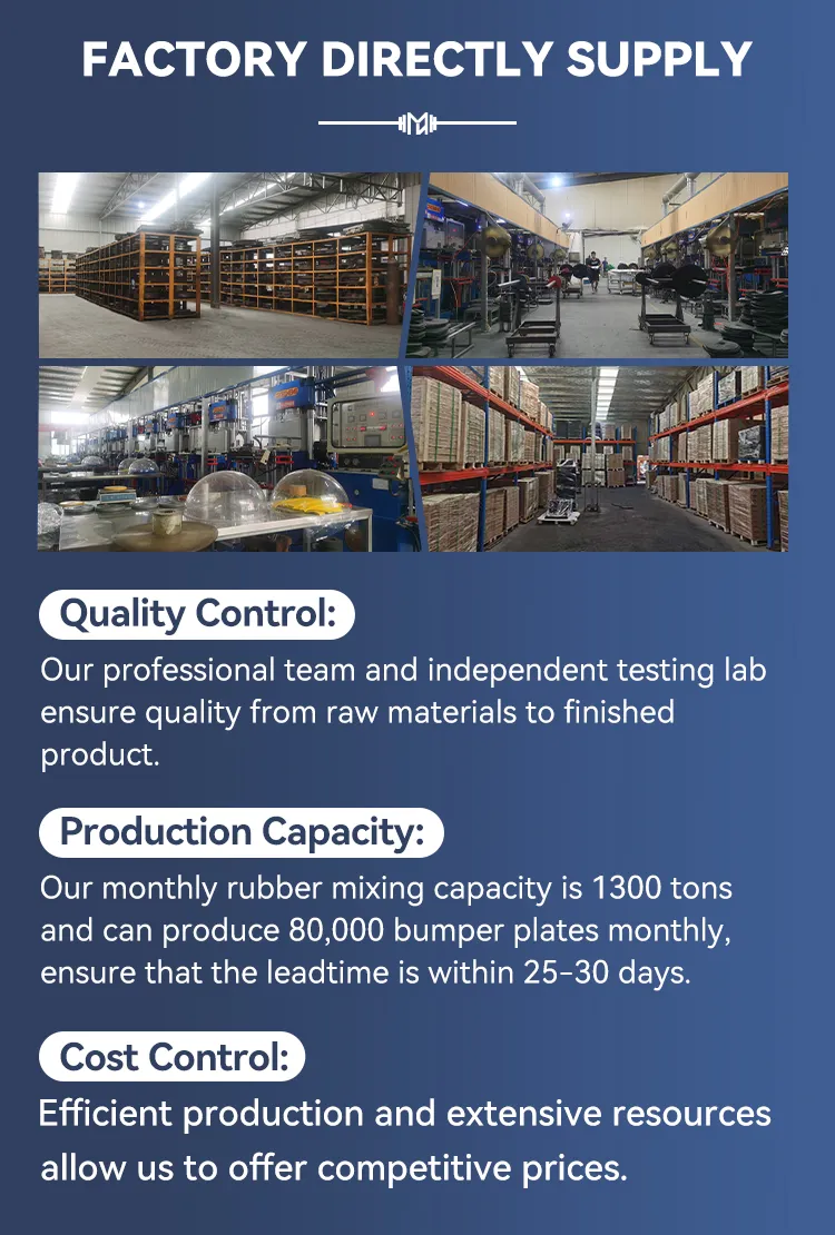 Bumper Plate Detail 1