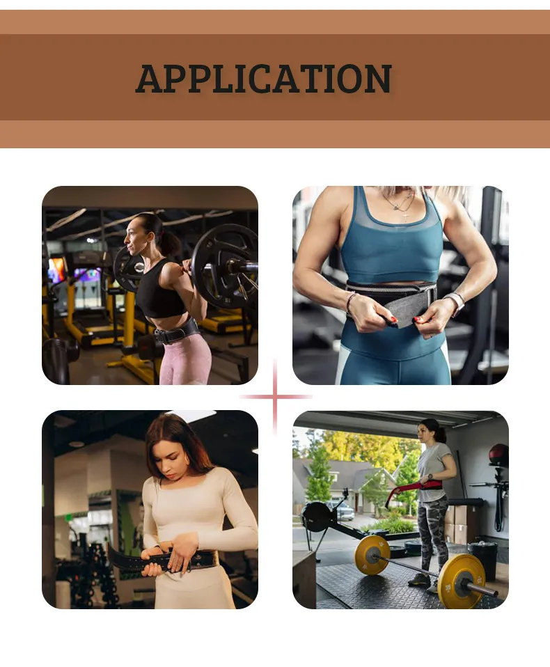 Gym Powerlifting Belt 8