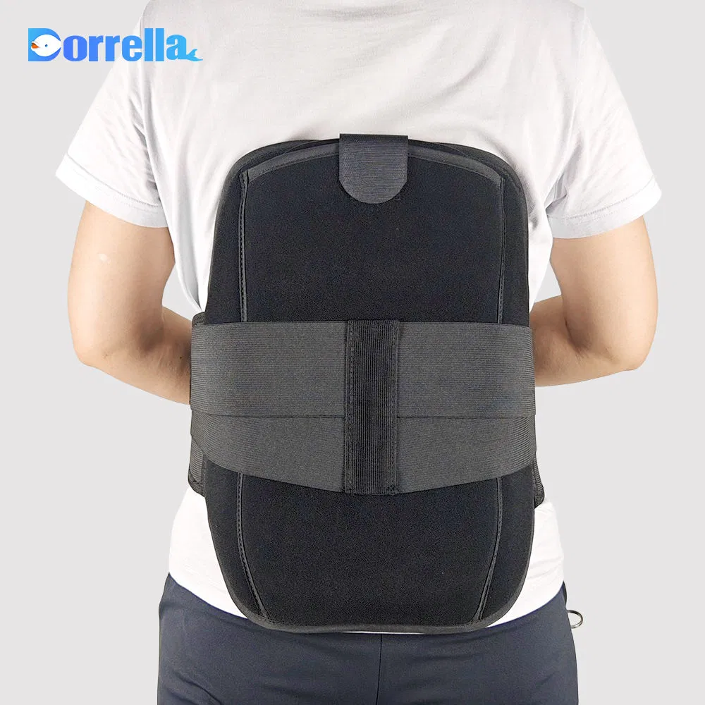 Wholesale Elastic Waist Support Belt with Buckle Gym Waist Support Belt Protection for Weightlifting Women