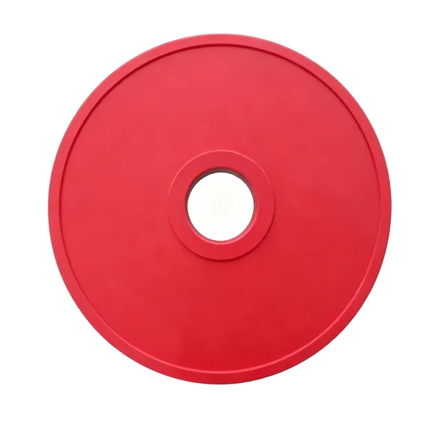 Bumper Plate Detail 1