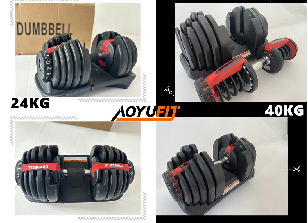 Adjustable Dumbbell Description