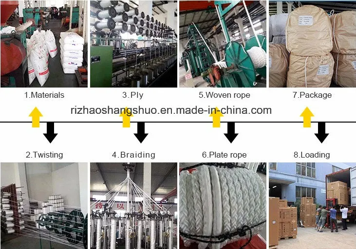 Battle Rope Exercise