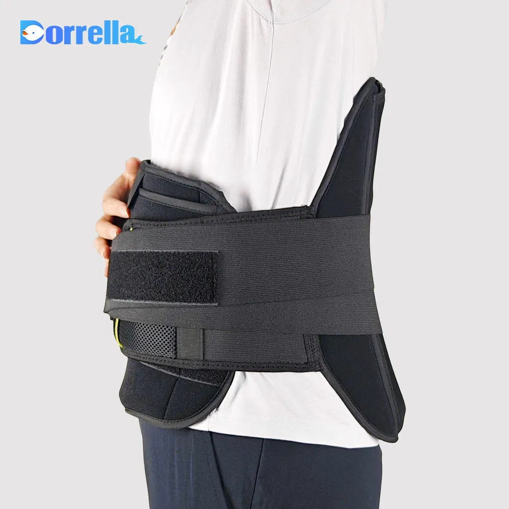 Wholesale Elastic Waist Support Belt with Buckle Gym Waist Support Belt Protection for Weightlifting Women