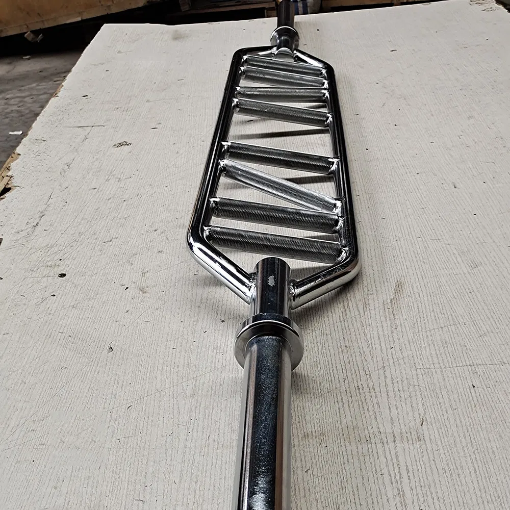 Professional Barbell 1