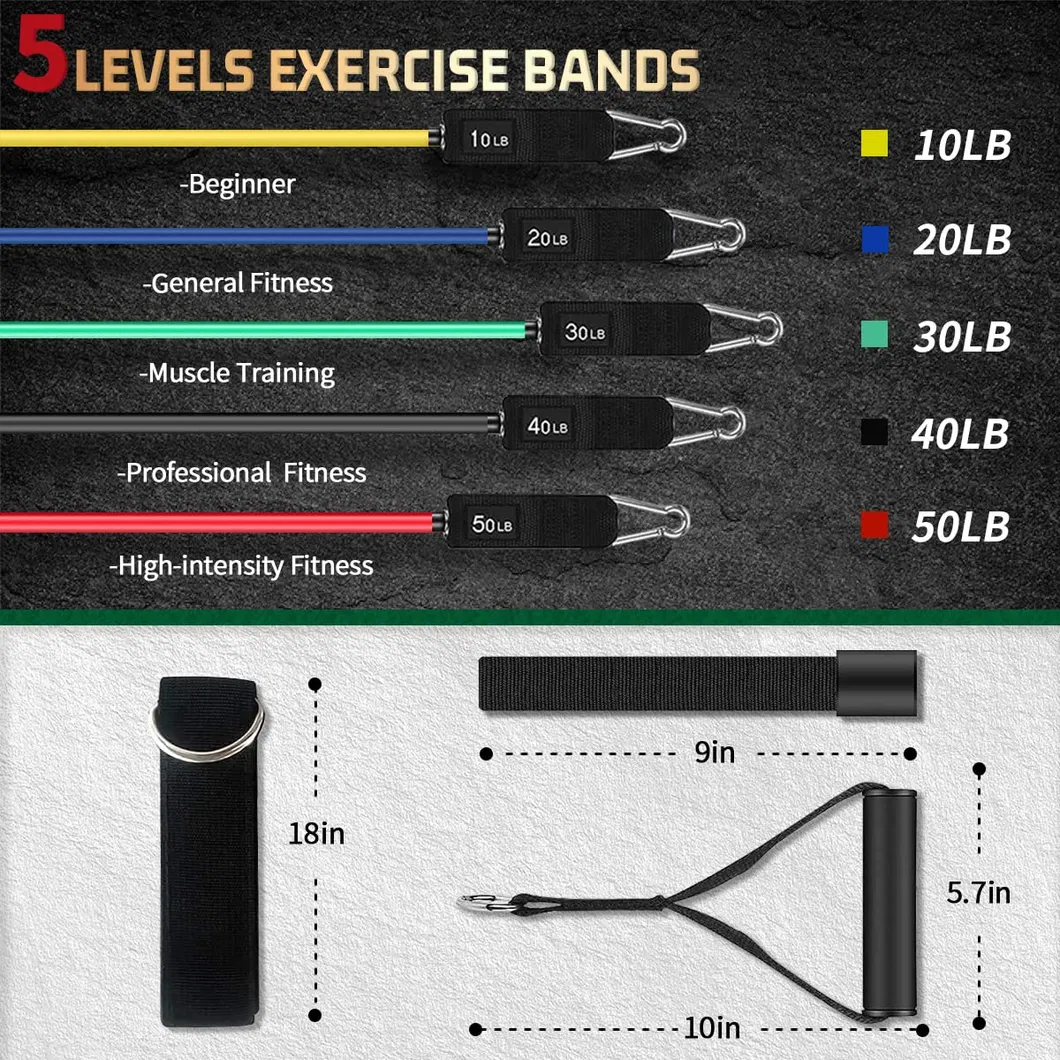 Exercise Bands 1
