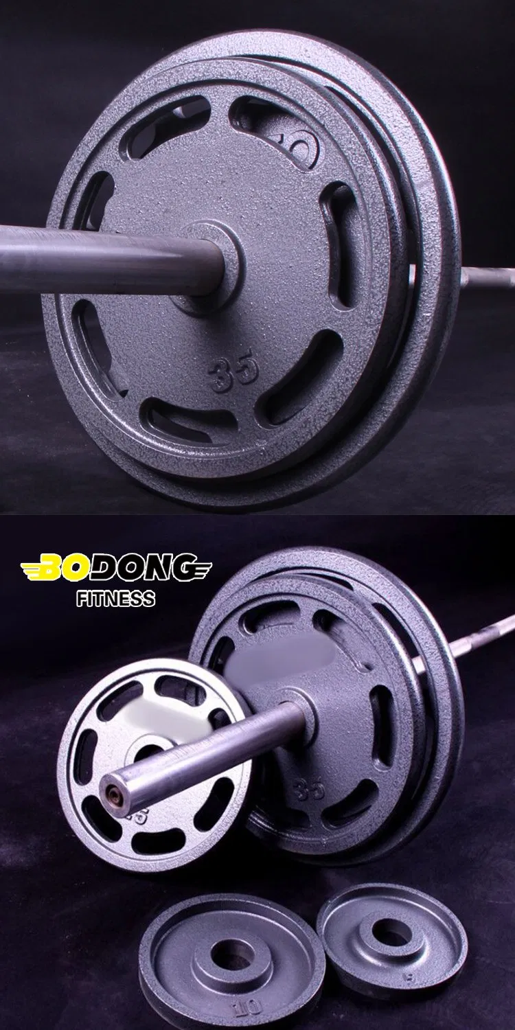 Bumper Plate Detail 2