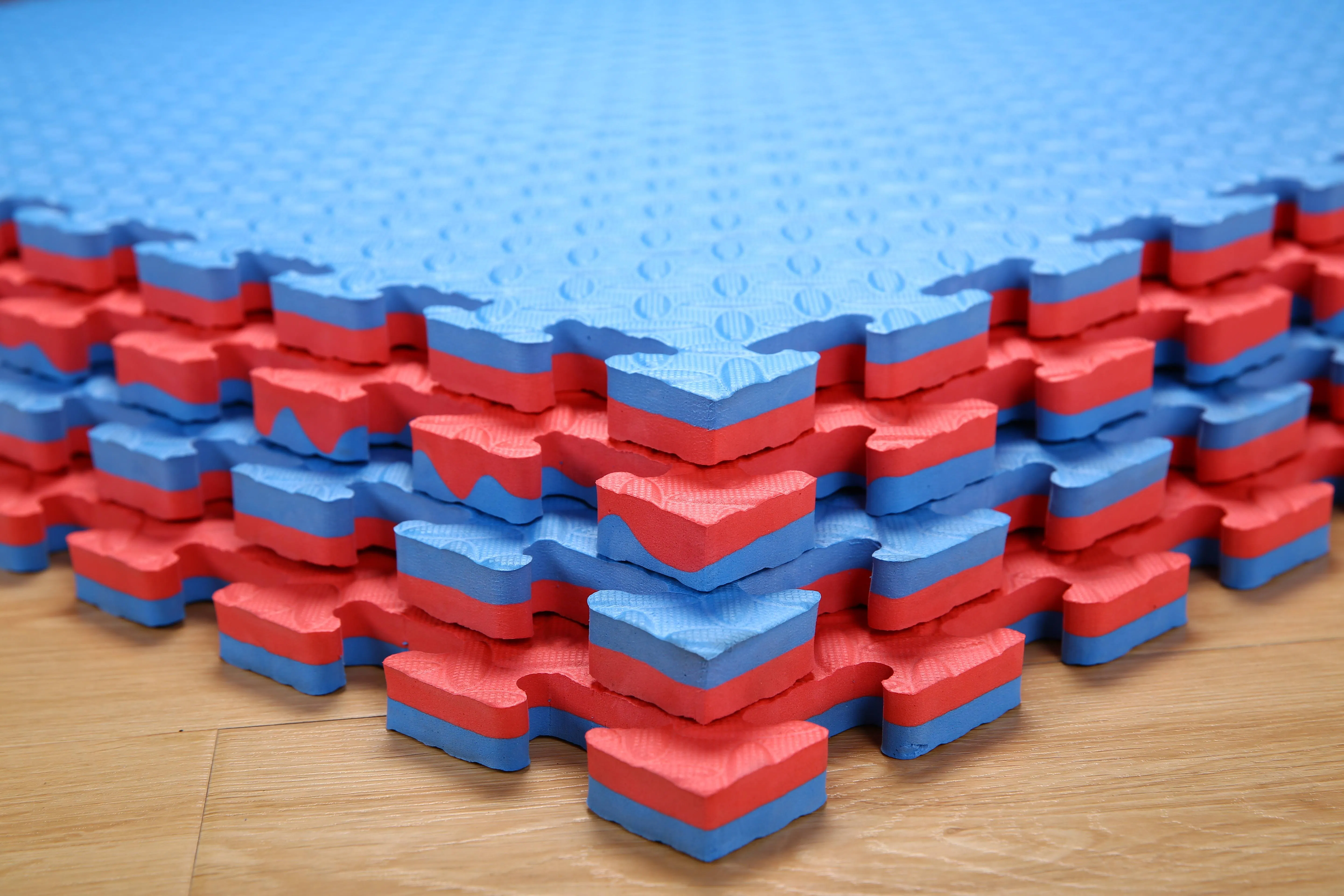 Martial Arts Jigsaw Floor Mats Gym Tatami Judo Interlocking Karate EVA 2025 New Fashion Jigsaw Puzzle EVA Foam, EVA 38-45 Degree