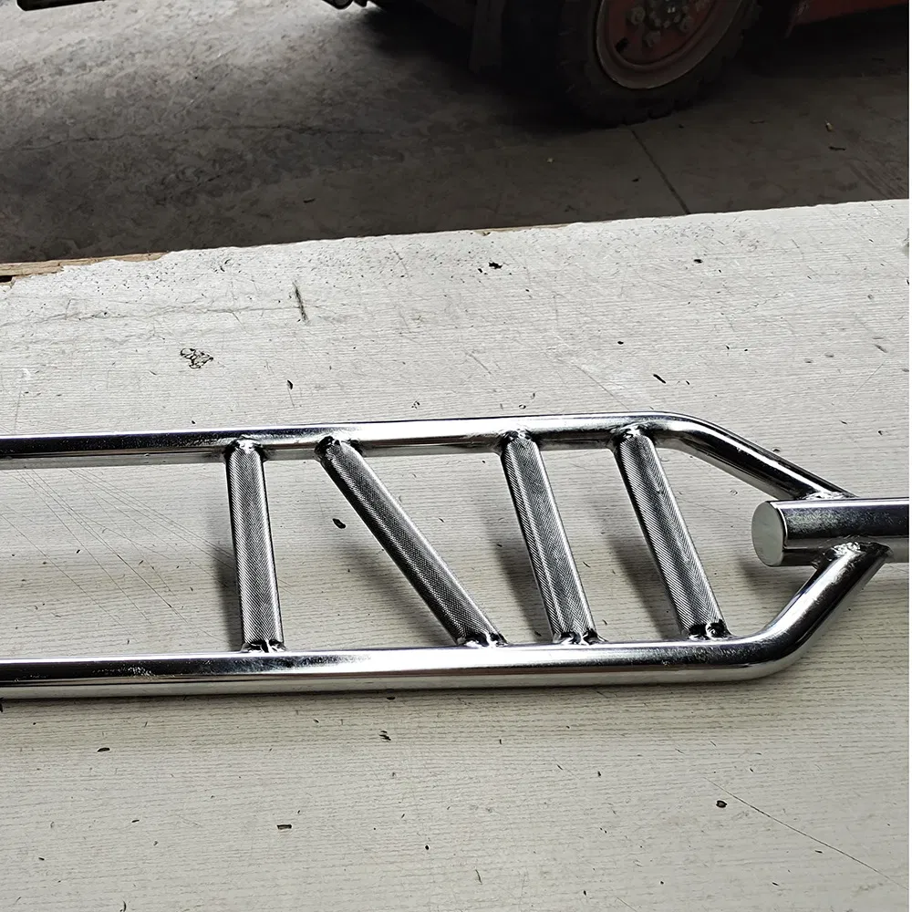 Professional Barbell 2