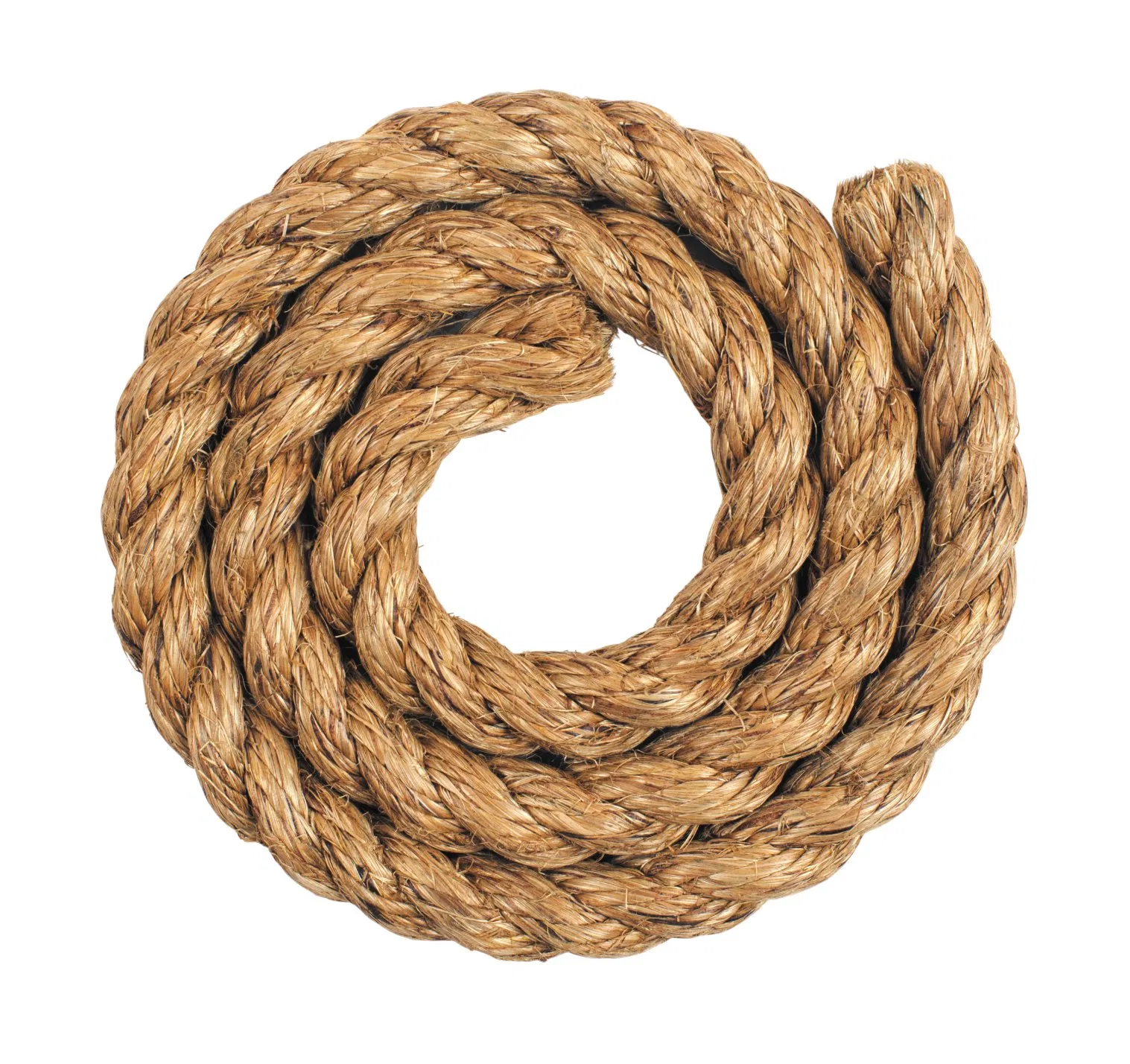 Climbing 1.25" Manila Battle Rope by Muscle Ropes