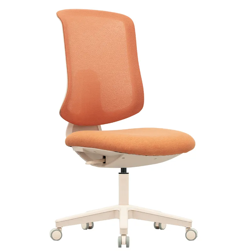 Ergonomic Office Chair 2