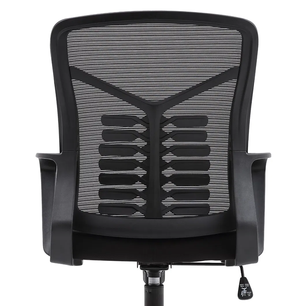 Ergonomic Chair Backrest Option 3