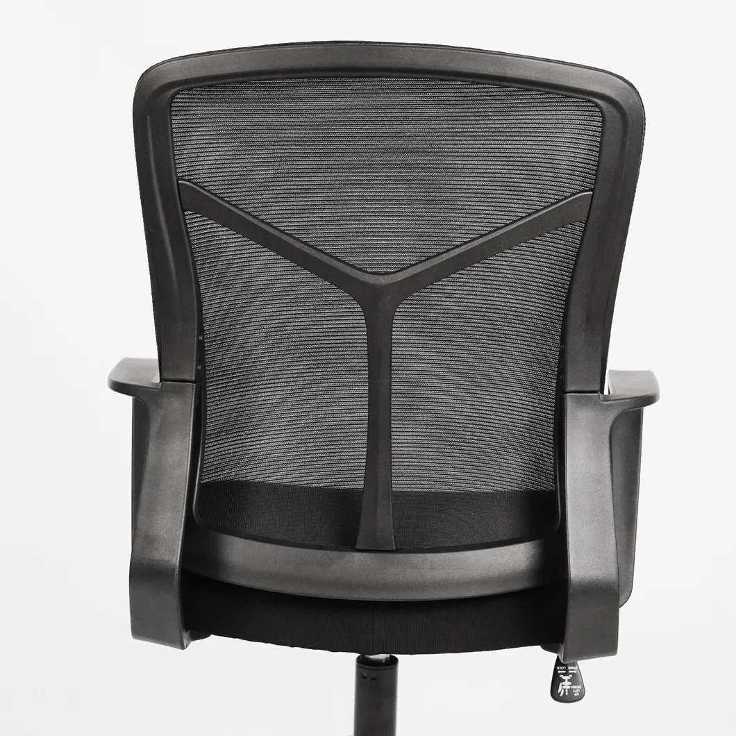Ergonomic Chair Backrest Option 2