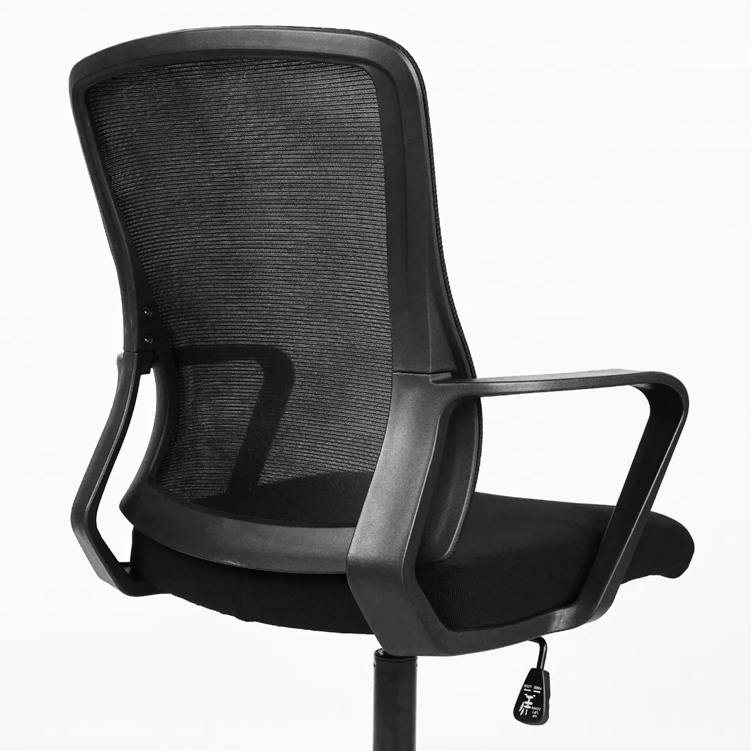 Ergonomic Chair Backrest Option 1