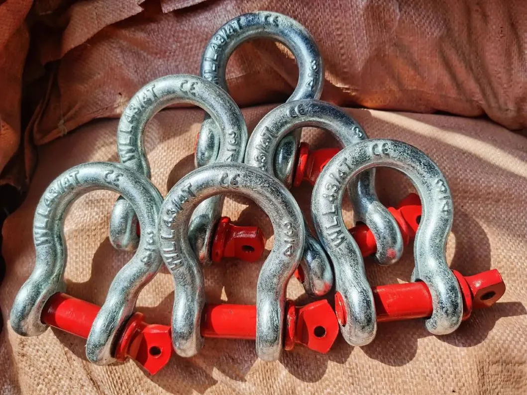 Standard Forged Shackle